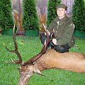 Red stag - bronze medail CIC