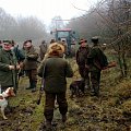 driven hunt in the Czech Republic on hares and pheasants