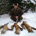 Fox hunter 