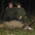 jelen 2011 / red deer 2011