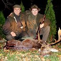 daněk 2011 Slovensko / fallow deer 2011 by friend Dano