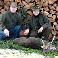 můj první jelen sika / my first sika deer