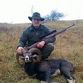 můj první muflon Slovensko / my first mouflon Slovakia