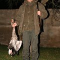 Dano na husách / Dano on wild geeses hunt