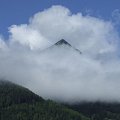 Alps, marmot hunt, directly on the top of this mountain!!