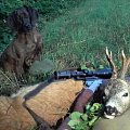 Roe buck 2016 from my friend. Amazing trophy!  