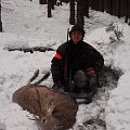 My Reddeer stag from driving hunt with my dog.