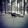 waiting for winter!