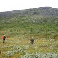 Grousehunting (orange dot is the dog standing).