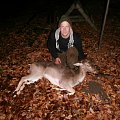Near Chomutov, Rogers fallow deer.