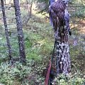 Irja and capercaillie