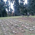 Bažantnice  Lány 2011
