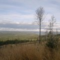 Huntingarea