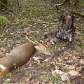 Results from some of my swap hunt guests in England