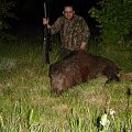 results of some of my own hunts home and abroad