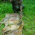 results of some of my own hunts home and abroad