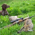 some of my own hunts home and abroad