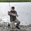 A grilse of Tweed