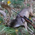 My biggest fallow last year.