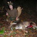 Fallow