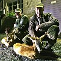 Swap hunt in Sweden.